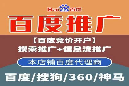 SEM运营推广策略：成功案例解析